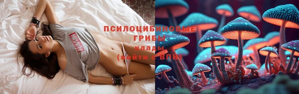 первитин Ладушкин