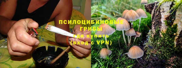 первитин Ладушкин
