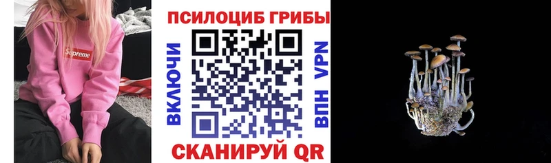 Псилоцибиновые грибы мухоморы  kraken сайт  Лобня 