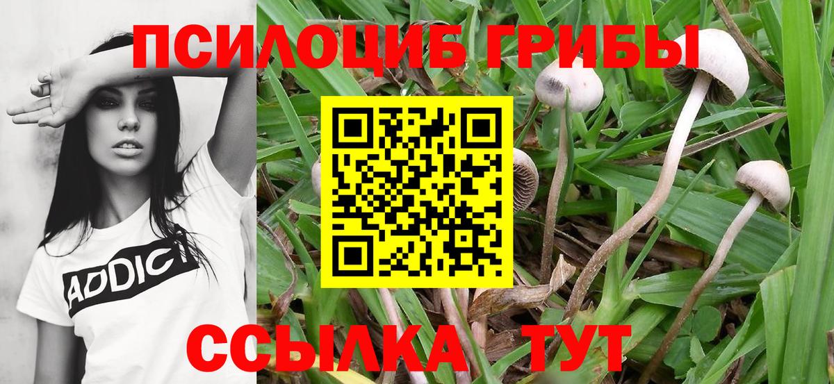 Лобня  Экстази  МЕФ   АМФЕТАМИН   Канабис  Codein 