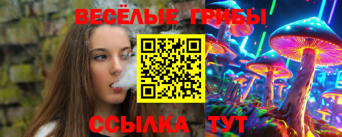 Галлюциногенные грибы GOLDEN TEACHER Лобня
