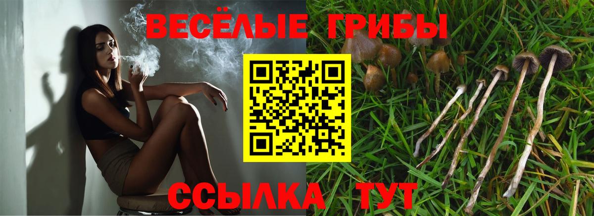Галлюциногенные грибы Psilocybe  Вход с VPN  Лобня  Псилоцибиновые грибы Psilocybe 
